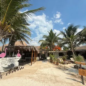 La Diosa Kali Front 3* Holbox